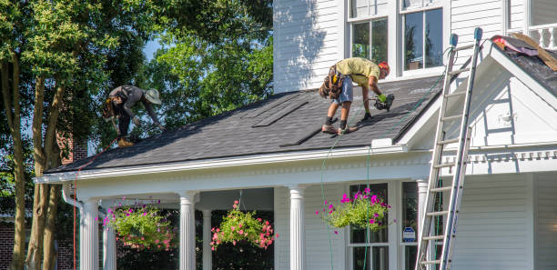 Best Roof Leak Repair  in Mount Vernon, IN